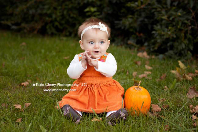 baby photography findlay ohio