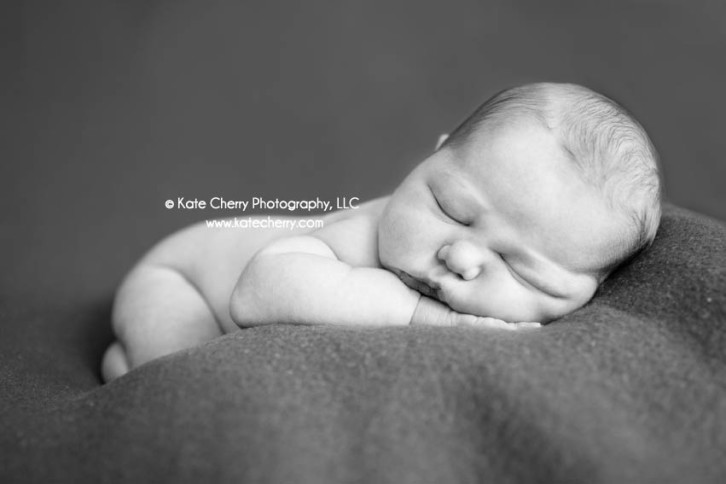 kate cherry photography newborn images 1