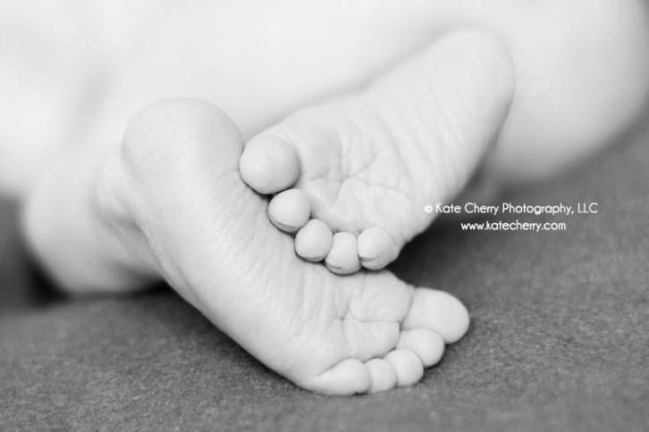 newborn feet images kate cherry photography